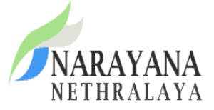 NN-Logo